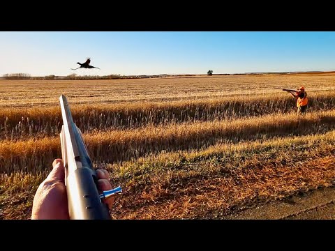 South Dakota Roadside Roosters '24