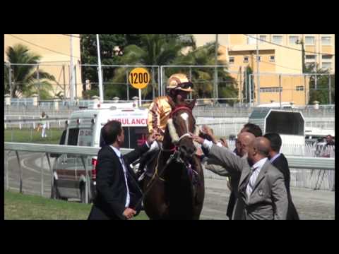 RACING REVIEW - RACE MEETING 10 - DUCHESS OF YORK CUP (06.06.2015)