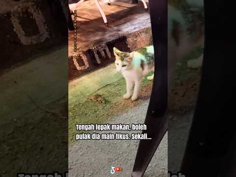 Terus tak jadi nak makan🤢