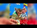 Life Is Beautiful For Monkey In His New Human House MonkeyDream HappyLiving