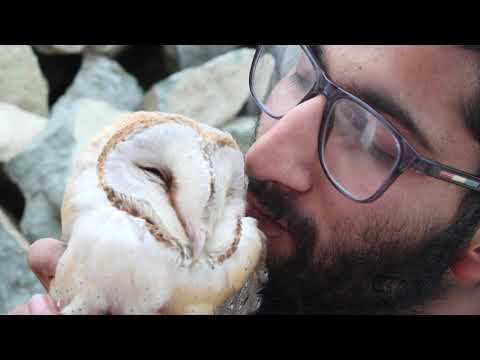 Young Naturalist Award 2020: Suhaib Firdous Yatoo