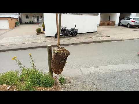 Garage Bau 11.09.2021 Vorbereitung