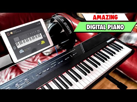 Digital Piano 🎹 Which Are The Most Amazing  Pianos in 2023?