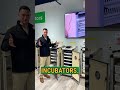 Are HB Incubators Setters, Hatchers, or Both?