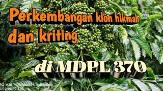 Download lagu wisdom and curly clones mp3