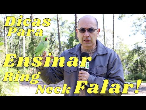 DICAS PARA ENSINAR RING NECK FALAR.