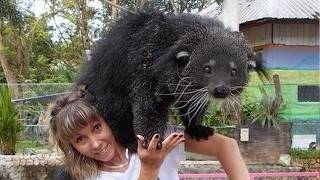 When Animals and Humans Make Strongest Bonds Ever Seen... Pure Love! 😍