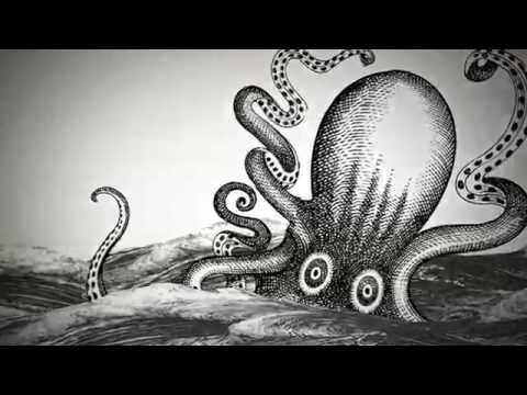 Proximo Spirits video