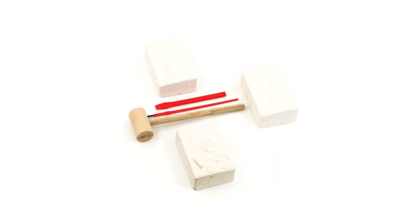 Dinosaur Fossils Digging Kit