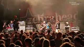 // 22. Trebur Open Air // Free drinks with Zebrahead Part 2