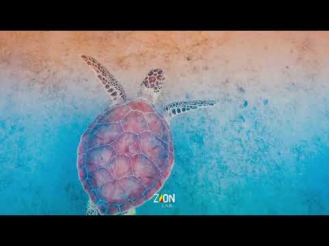 Riddim Instrumental "Natural Riddim" Reggae New Roots (prod. ZionLab.)