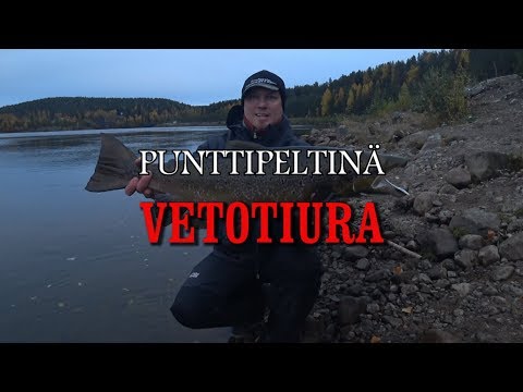 VETOTIURA - Spinfluga / Punttipeltinä Bodenissa ( Boden Laxfiske - Luleälv - Salmon Spoon Casting )