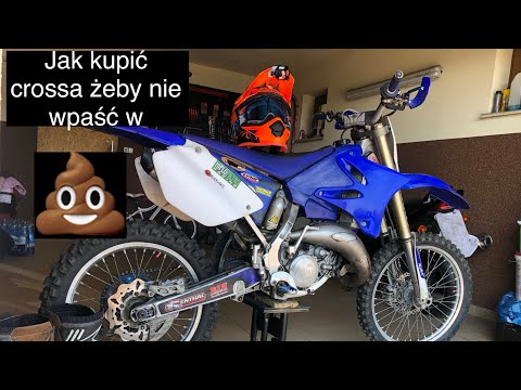 JAK KUPIĆ CROSSA, ŻEBY NIE WPAŚĆ W MINĘ?