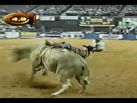 Blues Man bucks Craig Sasse - 02 PBR Baltimore