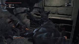 参加ok!ブラッドボーン