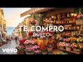 Duelo - Te Compro (Visualizer)