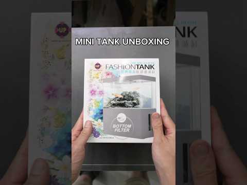 New Mini Tank! Unboxing 2024