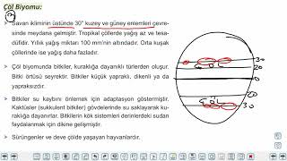 Eğitim Vadisi AYT Coğrafya 1.Föy Ekosistemlerin Özellikleri ve İşleyişi 1 (Biyoçeşitlilik ve Byomlar) Konu Anlatım Videoları