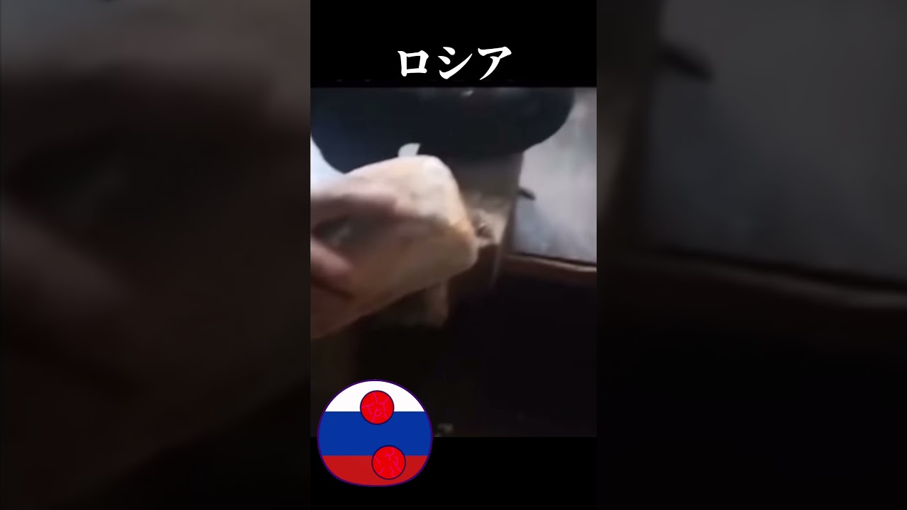 日本とロシアの違い #ポーランドボール #countryballs #おすすめ #おすすめにのりたい #おもしろ #おもしろ動画 #日本 #ロシア #shorts  #japan #russia