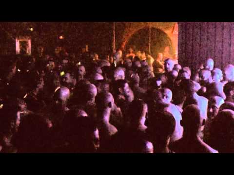 Tonker London Pride at Bear Necessities