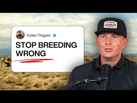 How I Use 'Defects' as a Cheat Code to Breed Champions