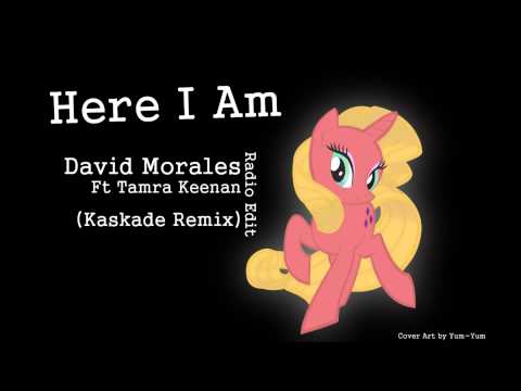 Here I Am - David Morales Ft. Tamra Keenan (Kaskade Remix) Radio Edit