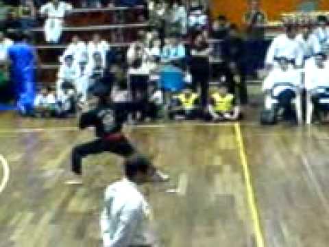 nano changquan A VS SAN CHEN