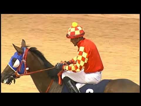 Arima Race Club - Day 11 December 6th 2025 Race -2