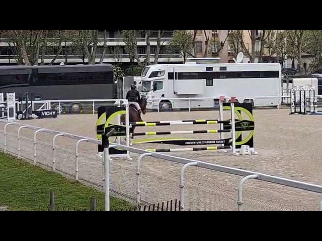 Jument d&rsquo;amateur