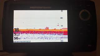 Humminbird helix 5 si chirp gps g2