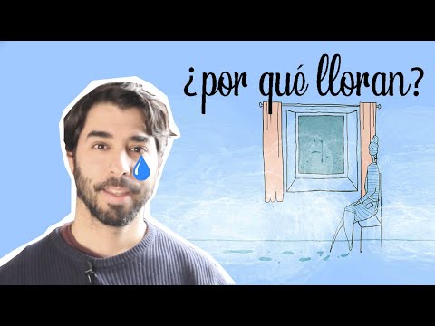¿Por qué LLORAN las VENTANAS? 😭(2 SOLUCIONES para EVITAR la HUMEDAD)