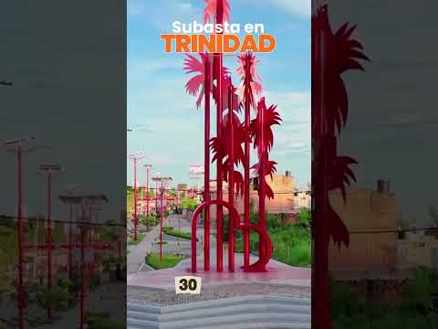 SUBASTA GANADERA EN TRINIDAD ESTE 30 DE JULIO.