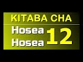 Hosea 12