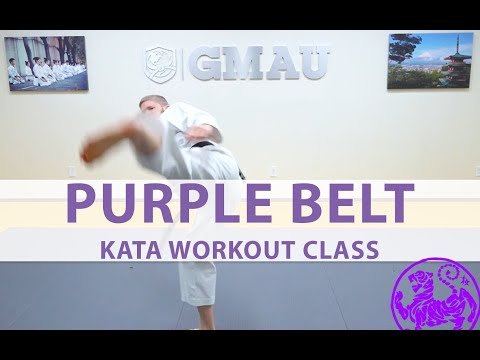 Shotokan - 4th Kyu Purple - Kata Workout Class thumbnail