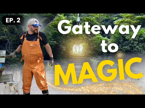 We Cleaned Up an Old Parking Lot in Rural Japan... Then Magic Unfolded