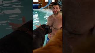 Lee Asher’s Journey With Fearful Puppy To Overcome Her Swim Phobia | My Pack Life | Animal Planet by Animal Planet