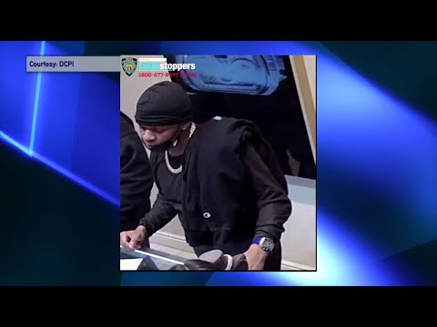 NYC Manhattan Police Seeking Jewelry Thief