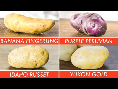 , title : 'Picking The Right Potato For Every Recipe - The Big Guide | Epicurious