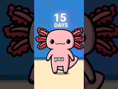 If You Cut An Axolotl's Head?!