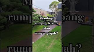 Download lagu Mending mana rumput jepang atau rumput gajah? #shorts mp3