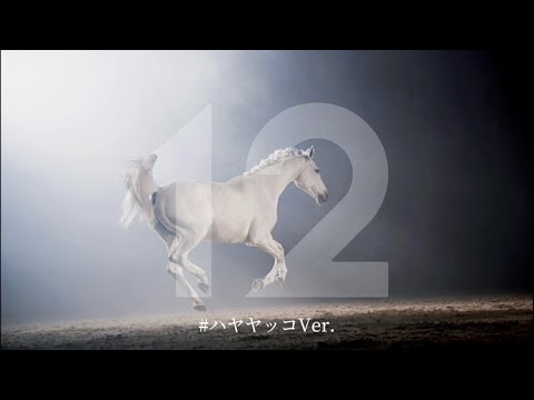 2022.05.01   白毛　ハヤヤッコ　阪神11R   天皇賞(春)