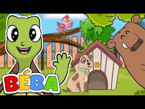 BÉBA - DOMEČKOVÁ | Písnička pro děti o zvířátkách