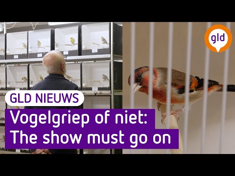 GLD Nieuws 9 december 2022