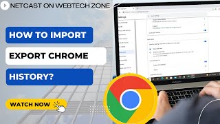 How to Import Export Chrome History?