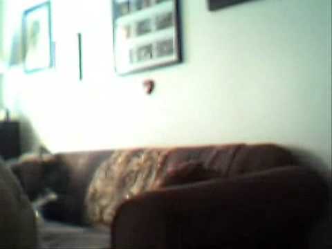 5 REASONS WHY TEENS SHOULD NOT HAVE BABIES