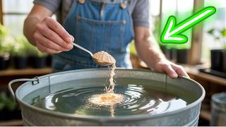 Just 1 Tablespoon in Water and All Plants Explode with Growth