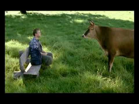 Emmi Luzerner Rahmkäse: Mampf!