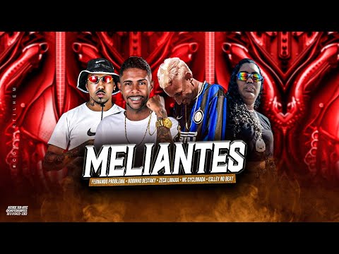 ROBINHO DESTAKY, FERNANDO PROBLEMA, ZECA LIMARA E MC CYCLONADA - MELIANTES - REMIX BREGA FUNK