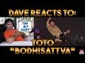 Dave's Reaction: Toto — Bodhisattva