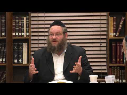 Tanya Review and Overview Chapters 6-8 - Rabbi Naftali Silberberg